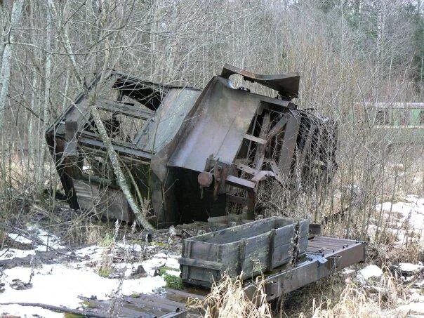 Погода в кневицах новгородская область