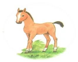 Кондукторлардың үлкен көлемдегі порнофотосуреттері