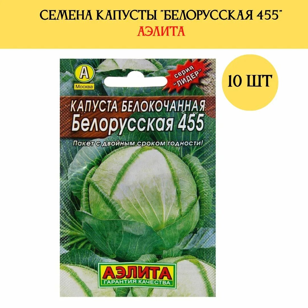 Капуста белокочанная белорусская 455 описание. Сорт капусты белорусская. Сорта капусты для засолки и хранения на зиму. Белорусская 455.