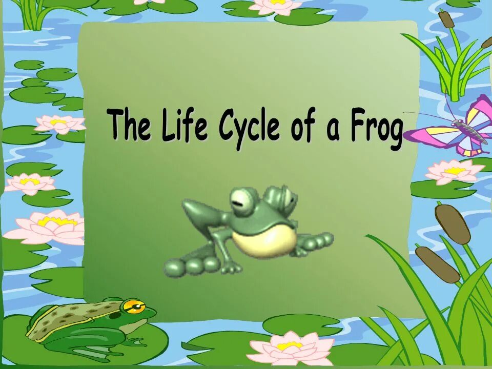 L can like a frog. Frog Life Cycle. This is a Frog. The Dog is next to a Frog картинка. A Frog \Slide.