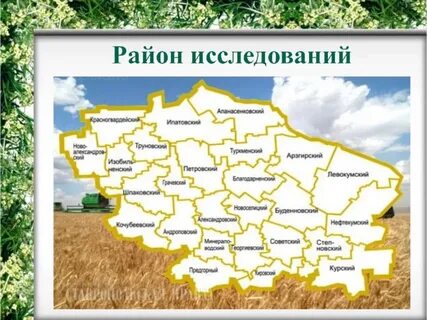 Районы исследования