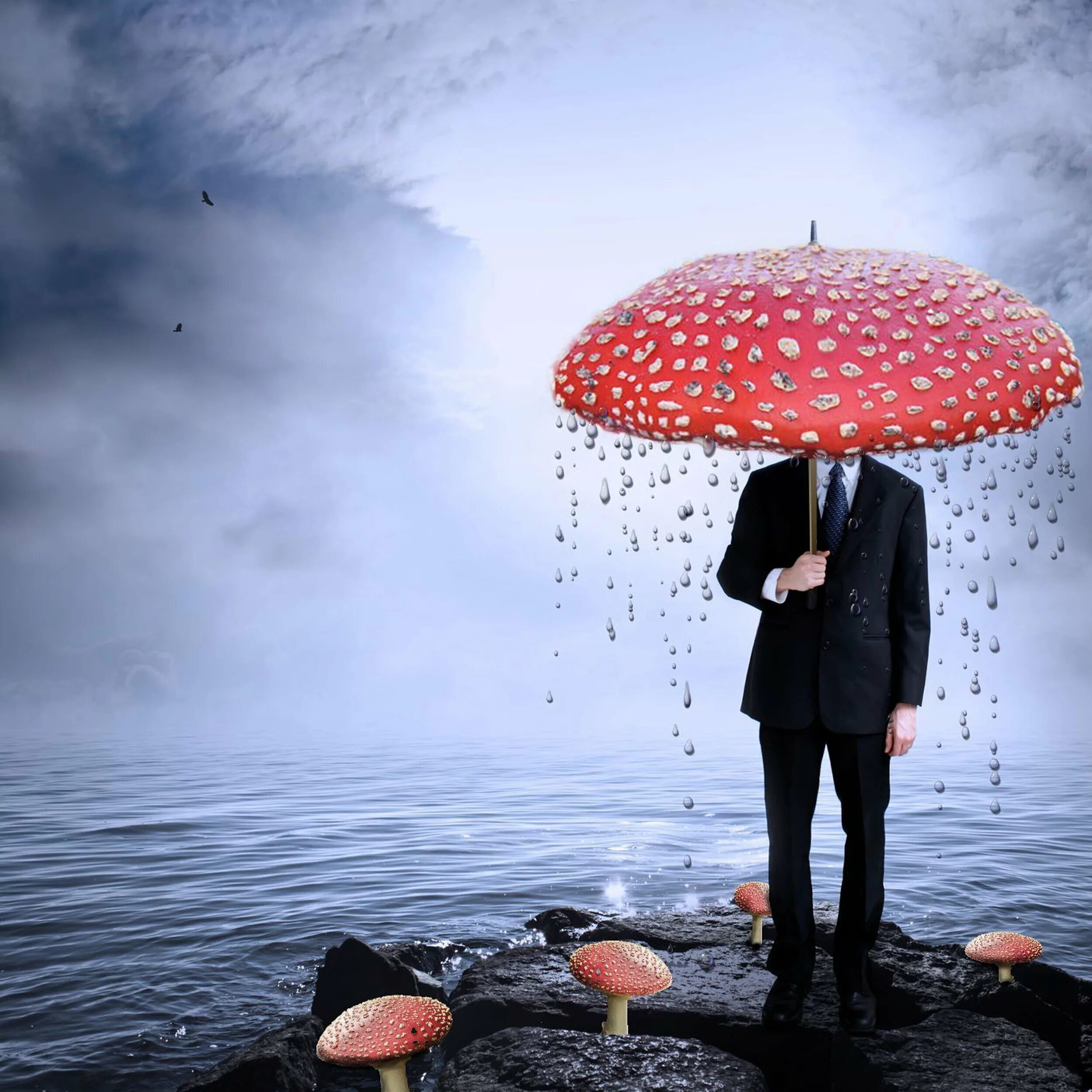 Дождя больше грибов. Зонт мухомор. Дождь зонт. Мужчина с зонтом. Мухомор зонт от дождя.