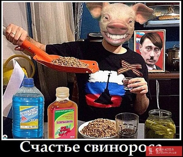 Русский зольдатен. Русиш швайн. Арбайтен русиш швайне. Русиш швайне. Русиш зольдатен.