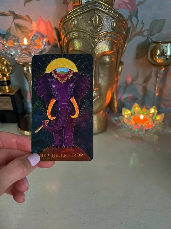 Мак трансформация таро selin. Трансформационные карты. Мак трансформация таро selin. Карта трансформации в таро. Журнал таро.