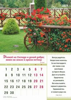 Дачный участок календарь на 2024