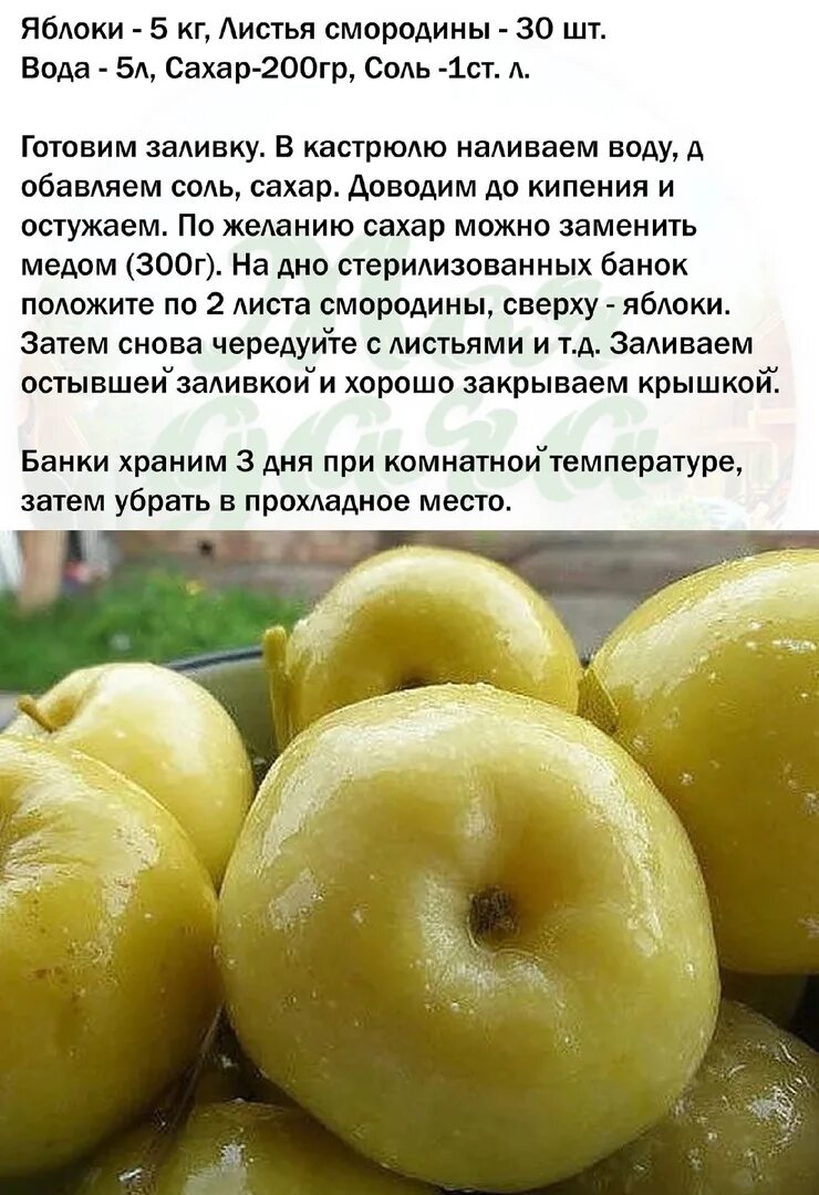 Моченые яблоки. Яблоки мочёные в банках на зиму. Простой рецепт моченых яблок в банке. Яблоки мочёные в банках на зиму. Яблоки моченые 1кг.