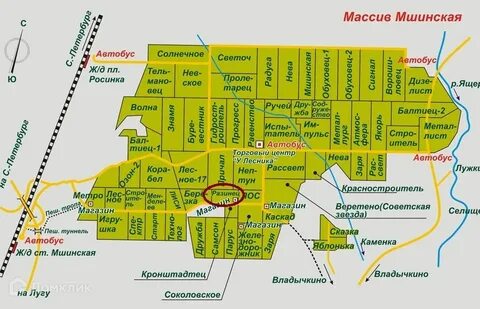Ленинградская область садоводческое некоммерческое товарищество