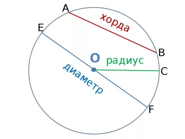 Радиус хорда диаметр окружности на рисунке. Окружность радиус хорда диаметр круг. Радиус диаметр хорда. Что такое окружность круг хорда диаметр. Изобразить окружность центр радиус диаметр хорда