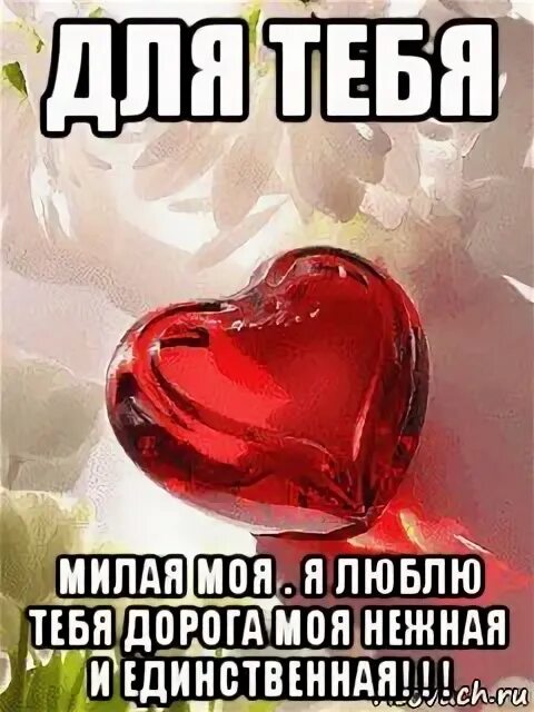 Открытка "я тебя люблю ". И я тебя моя милая. Стихи самой красивой девушке. И я тебя моя милая. Самая дорогая моя любимая.