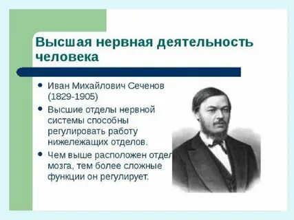 Характеризующие специфическую высшую нервную деятельность человека