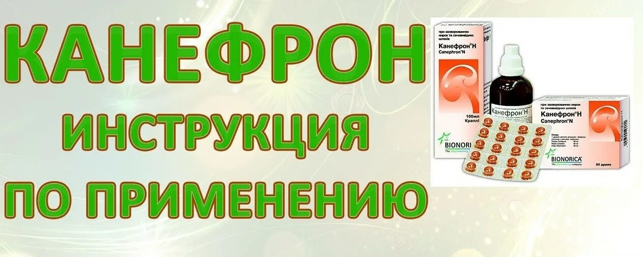 Канефрон. Канефрон показания. Канефрон по применению. Канефрон до еды после еды. Канефрон таблетки пить до или после еды