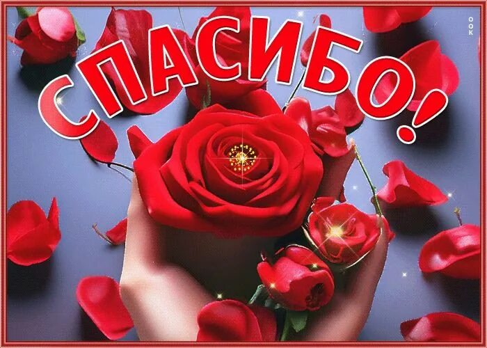 https://avatars.mds.yandex.net/i?id=a916c519e66c7b2f3685a4cfc55fcf6d_l-5877417-images-thumbs&amp;n=13