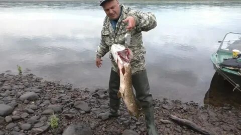 Рыбалка на печоре