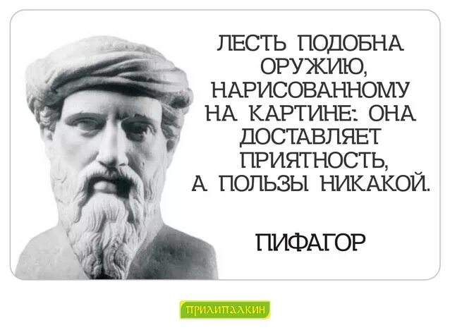 Великий не было детей. Пифагор. Изречения Пифагора. Пифагор смешные цитаты. Пифагор основные высказывания.