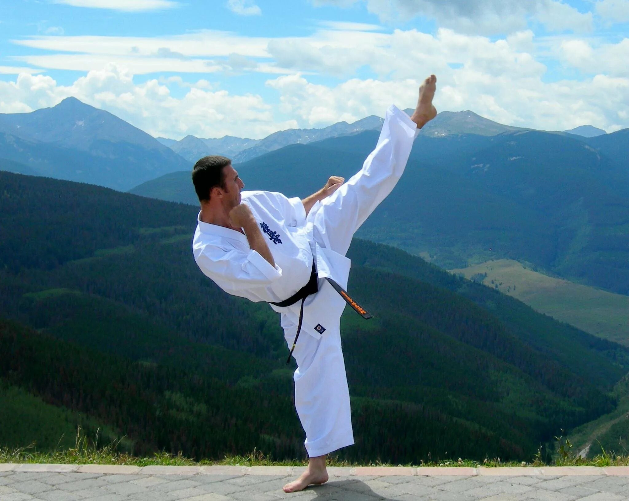 боевые искусства. сталь клуб единоборств липецк. бразилия боевая капоэйра боевое искусство. багратион каратэ. боевые искусства адрес.