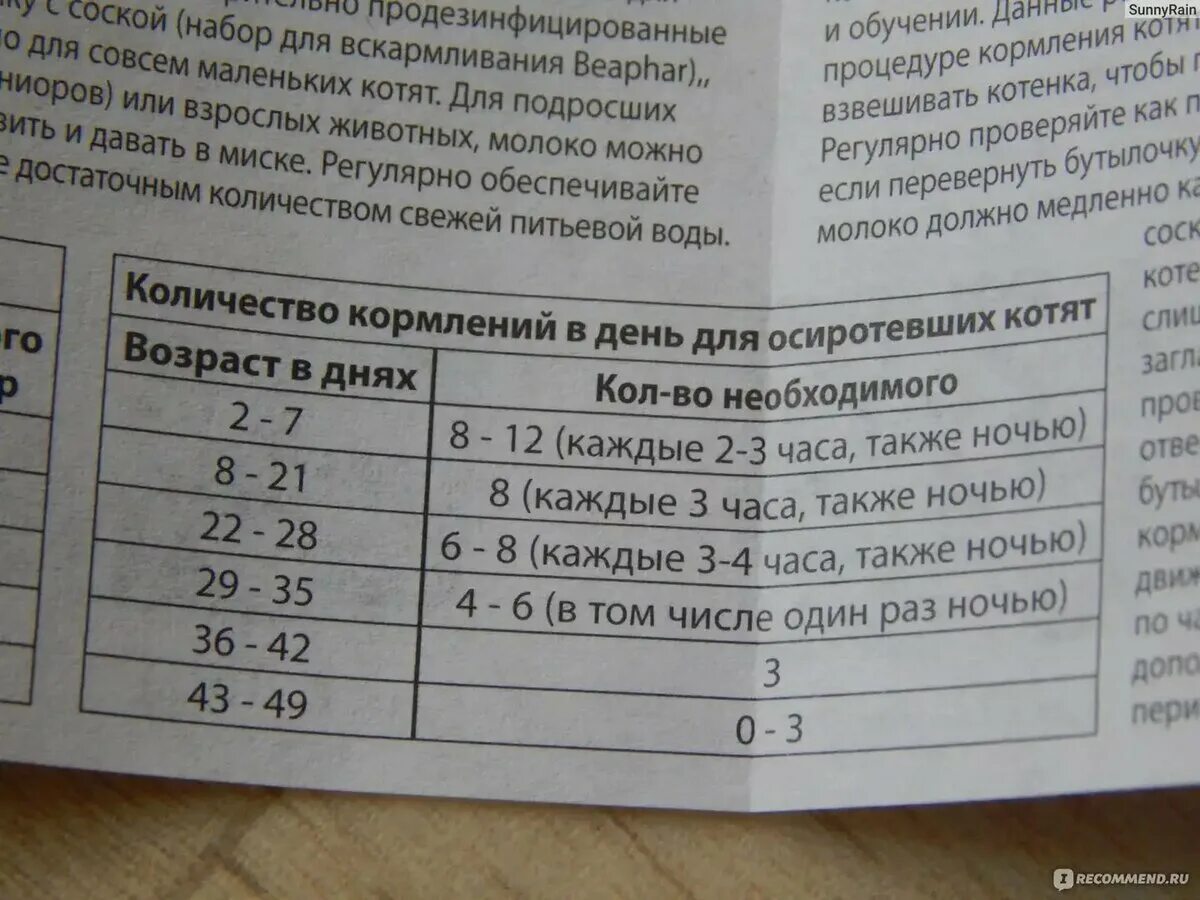 Можно ли котятам детскую смесь. Беафар смесь для котят дозировка. beaphar молоко для котят инструкция. норма смеси для котят. кормление новорожденных котят таблица.