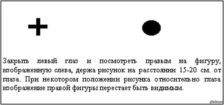 Слепое пятно расположено в месте где. Слепое пятно как обнаружить. Слепая зона глаза человека. Как увидеть слепое пятно в глазу. Слепое пятно тест на зрение.