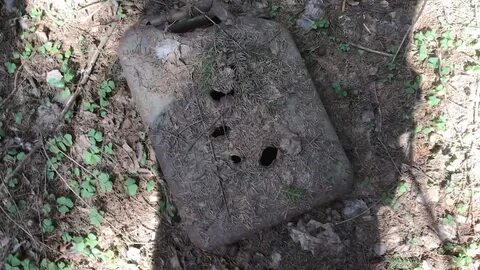Серый нашли