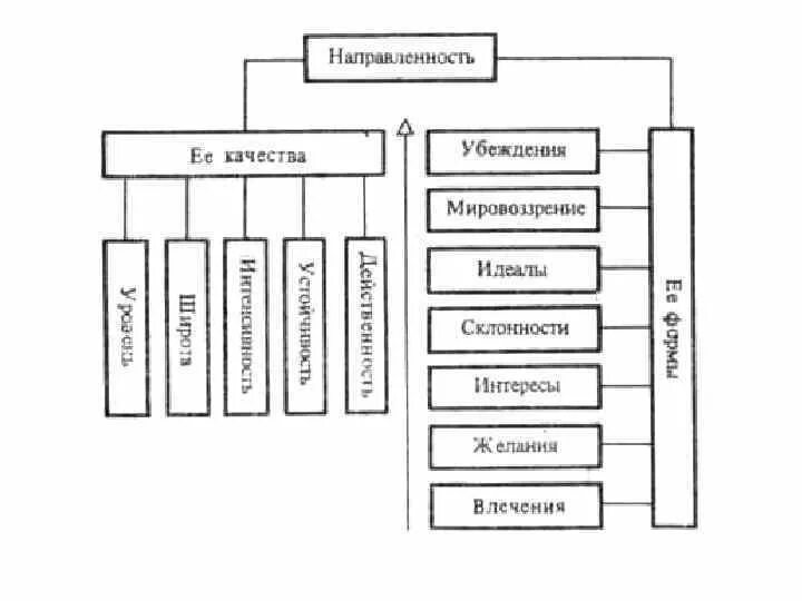 Структуру направленности входят. Структуру направленности входят