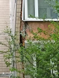Туполева 30