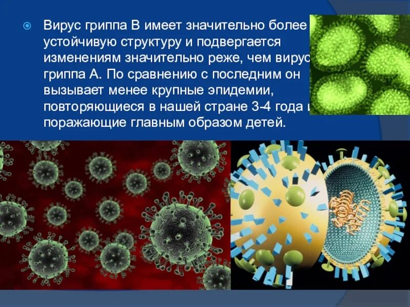 Вирусы гриппа d. Вирус гриппа 5 класс биология. Вирус гриппа нитевидная форма. Изображение вируса гриппа. Вирус гриппа кратко.