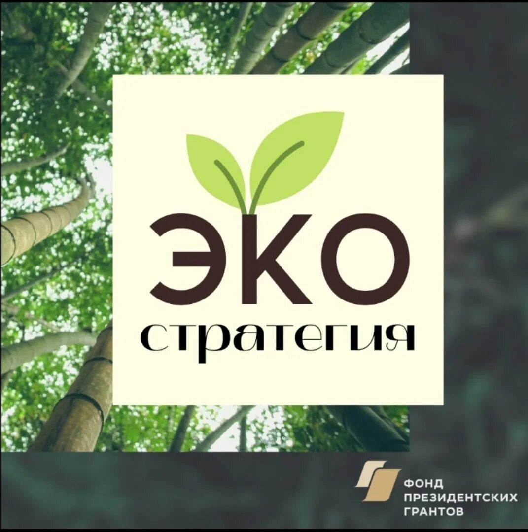 Грант на экологический проект