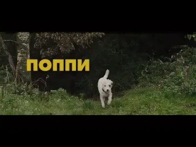Три умри