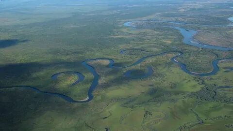 Река впадающая в белое море 5 букв