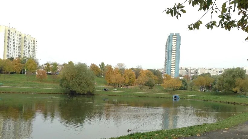 Усадьба в Ясенево в Битцевском лесу. 17 Микрорайон Ясенево. Усадьба Ясенево в Москве. Ясенево лес. Деревня ясенево