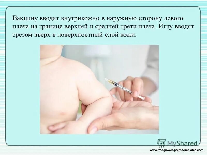 техника введения вакцин внутрикожно. способы введения вакцин. вакцина вводимая внутрикожно. способы введения вакцин. аллергическая проба туляремии.