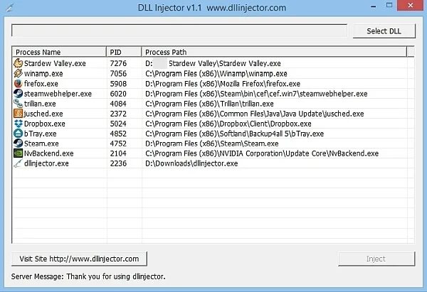 Process dll. Injector dll. Dll injector стима. Dll injector Roblox.