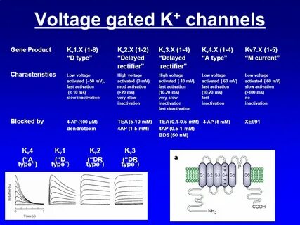 Voltage перевод