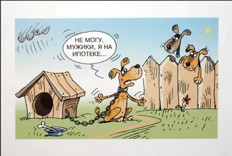Шутка про квартиру