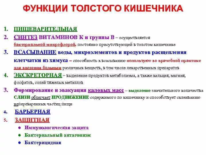 Функции толстого кишечника кратко. Основные функции кишечника. функции тонкого кишечника 8 класс. функции толстого кишечника. толстая кишка функции.
