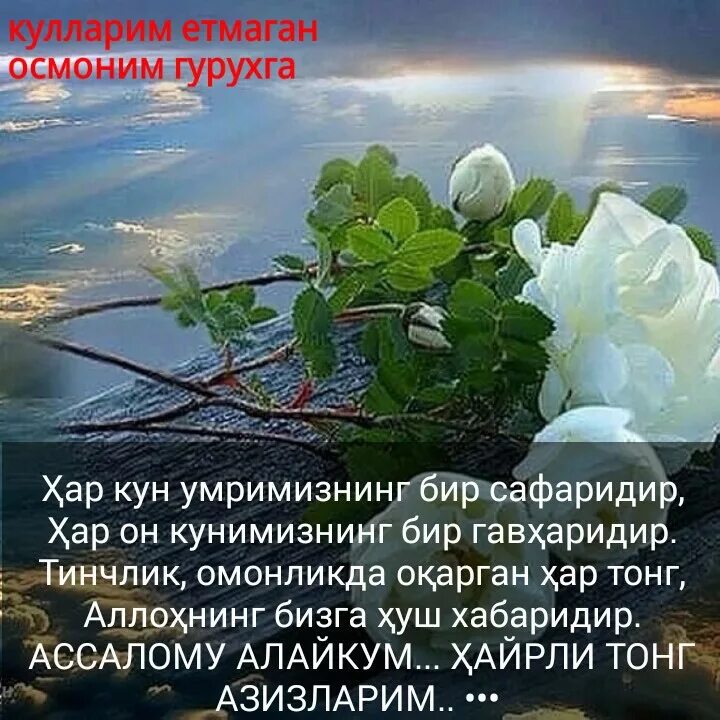 Хайрли кун муборак. Тонг тилаклари. Тонгги тилаклар. Хайрли тонг муборак. Хайрли кун.