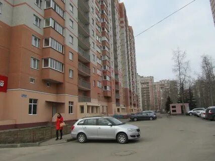 Ломоносов 114