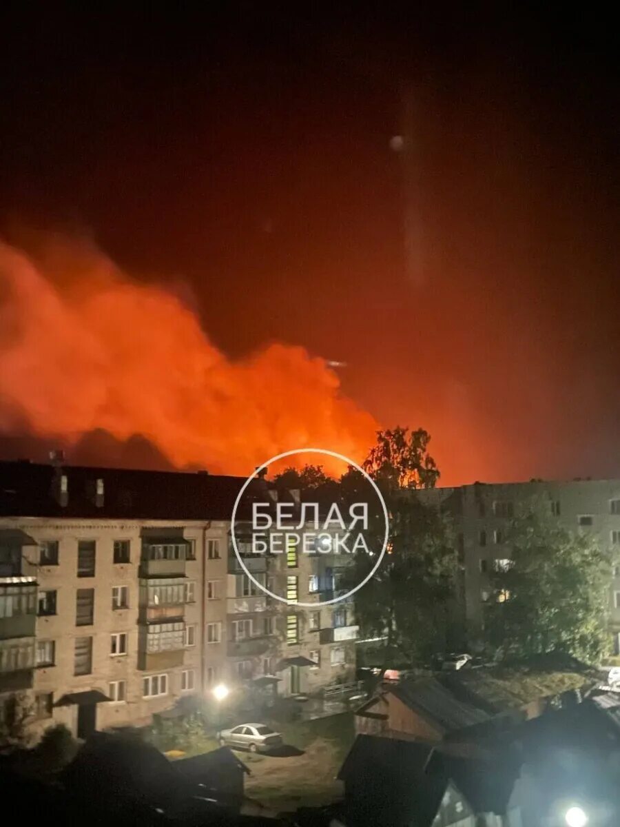 Новости в белой березке