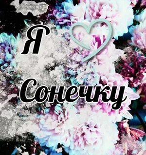 Под названием соню