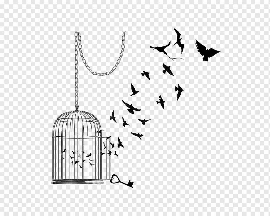 Клетка тату эскиз. Птичка вылетает из клетки. тату птица вылетает из клетки. птица в клетке эскиз. птица улетает из клетки.