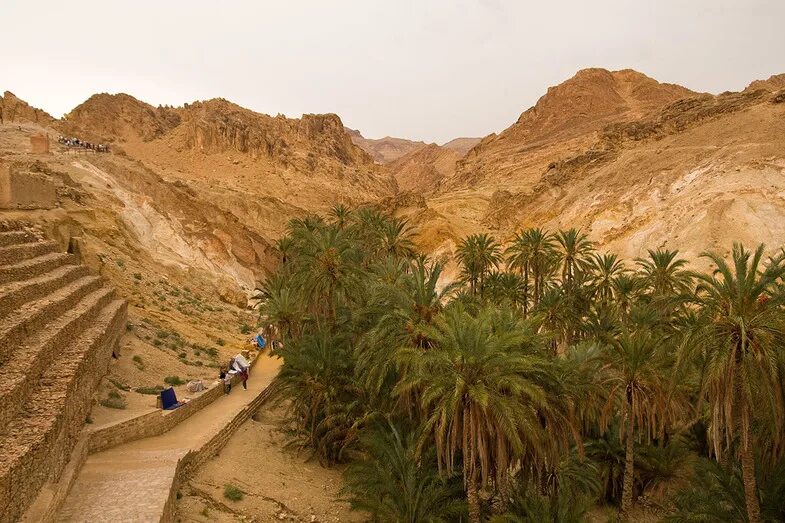 Тунис горы атлас. Атласские горы алжир. Рельеф туниса. Рельеф туниса. Пустыня сахара в тунисе.