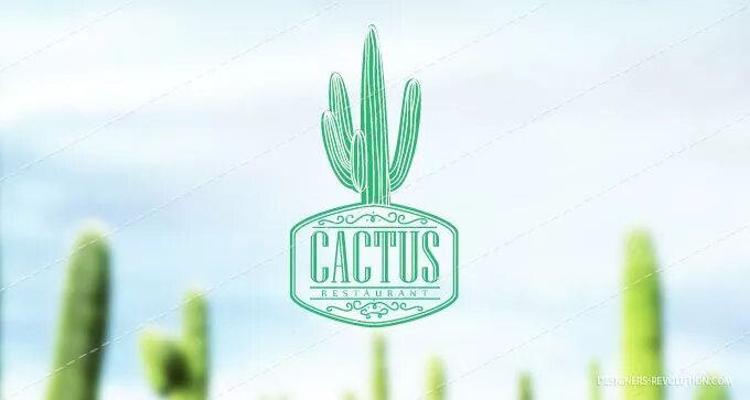 Cacti бренд. Cactus логотип. Суккуленты и кактусы логотип. Кактус вывеска. Дизайн логотипа с кактусом.