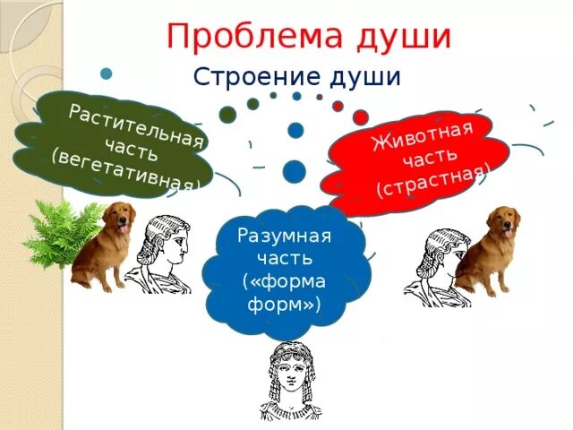 Душа разумного животного