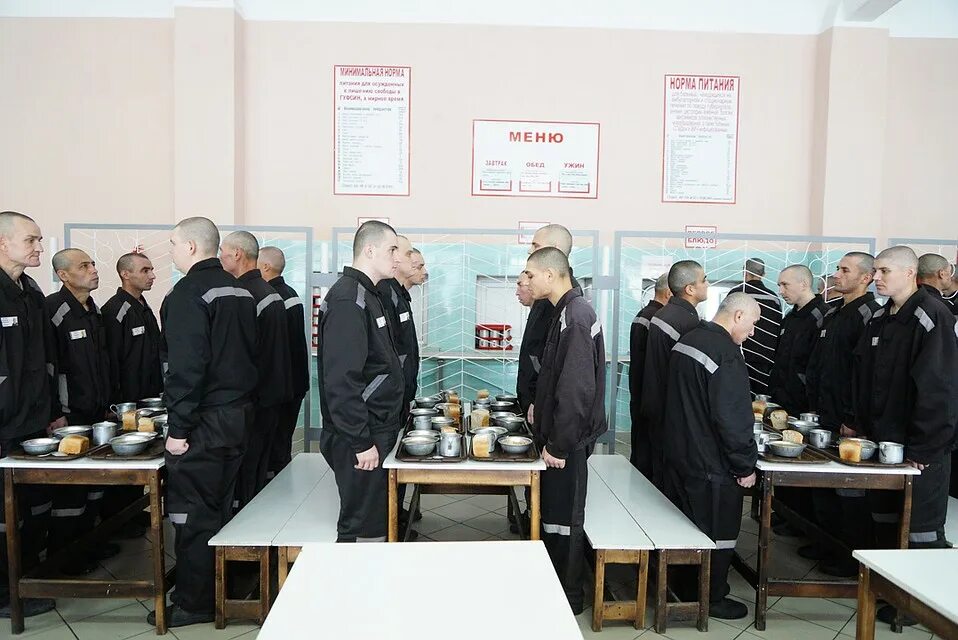 Высшее в колонии