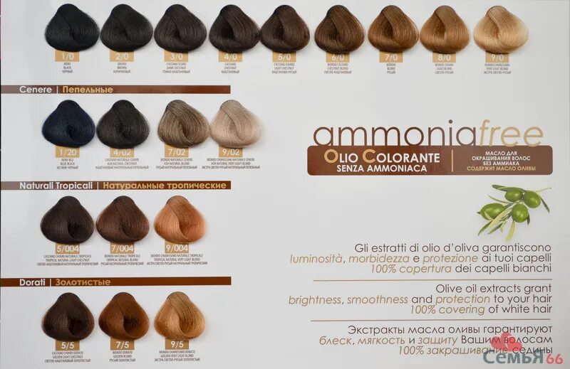 7. Палитра масел констант делайт. Olio colorante 5 magic oils палитра. Масло констант делайт палитра цветов. Палитра масел констант делайт.