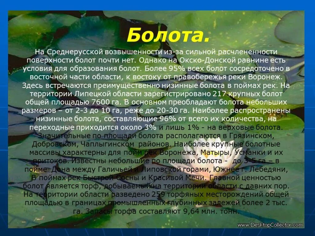 Болота Липецкой области. Ресурсы в болотах. Болота Липецкой области доклад. Болото Липецкой области.