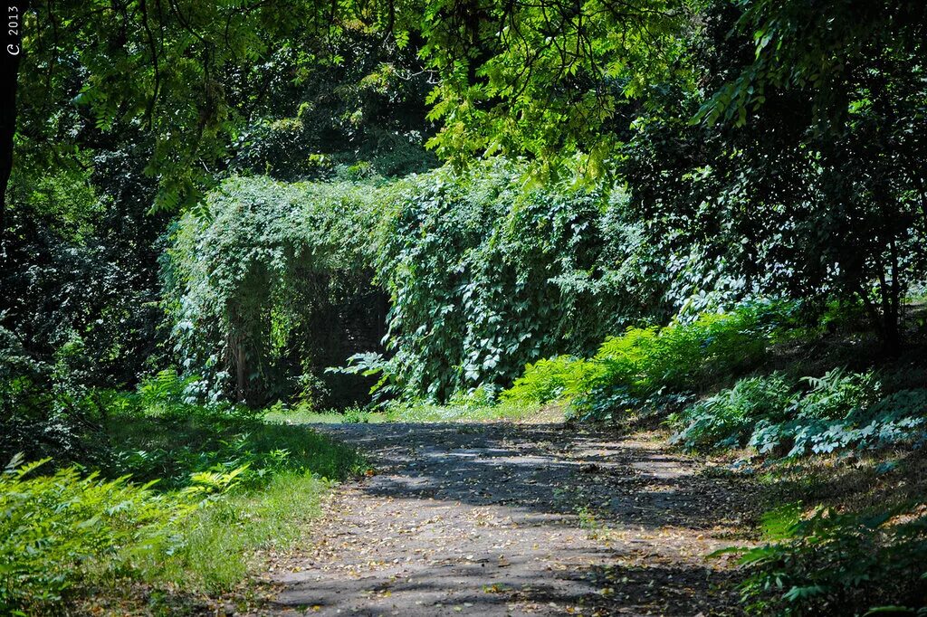 Ботанический сад ростовского государственного университета. Ботанический сад юфу. Ботанический сад южного федерального университета. Ботанический сад юфу. Ботанический сад юфу ростов-на-дону.