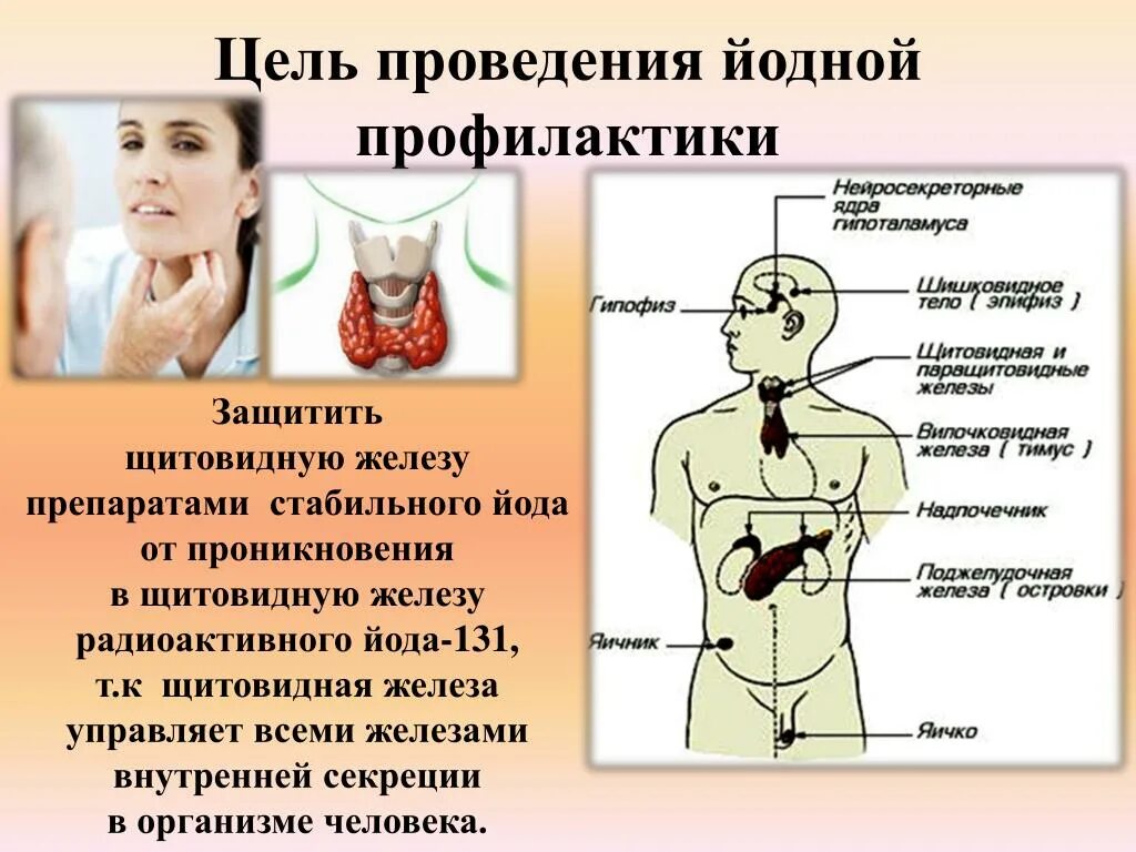 Защищает ли. Средство защиты щитовидной железы от радиоактивного йода. Цель проведения йодной профилактики. Йодная профилактика щитовидной железы. Щитовидная железа и радиация.