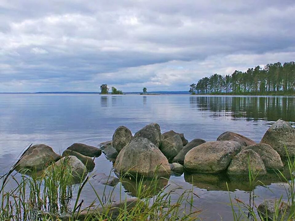 Озеро Онега Карелия. Берег Онежского озера Петрозаводск. Онего озеро в Петрозаводске.