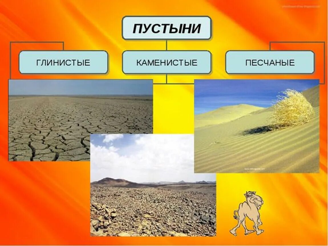 Конспект урока пустыня 4 класс. Зона пустыни 4 класс. Природные зоны России 4 класс окружающий мир пустыни. Зона пустыни 4 класс окружающий мир. Пустыня презентация.