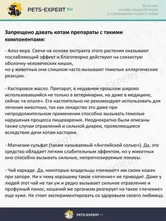 У кота запор как помочь дома самостоятельно